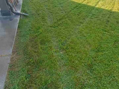 Lawn care service in Spokane, 99224