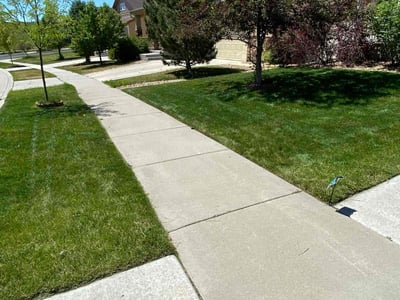 Lawn care service in Parker, 80134