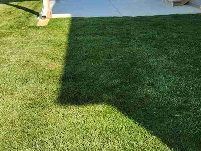 Lawn care service in Olathe, 66062