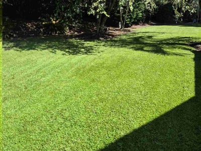 Lawn care service in Murrells Inlet, 29576