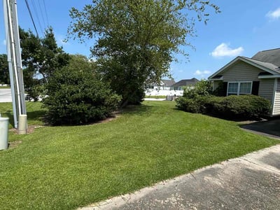 Lawn care service in Winterville, 28590