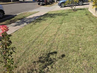 Lawn care service in Chula Vista, 91911