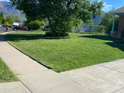Lawn care service in Ogden, 84414