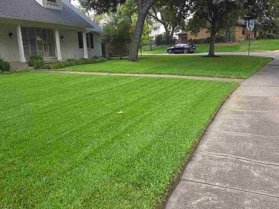 Lawn care service in Dallas, 75238