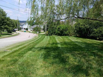 Lawn care service in Nashville, 37221