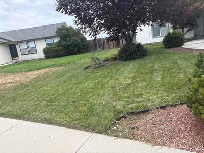 Lawn care service in Meridian, 83642
