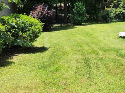 Lawn care service in Douglasville, 30135