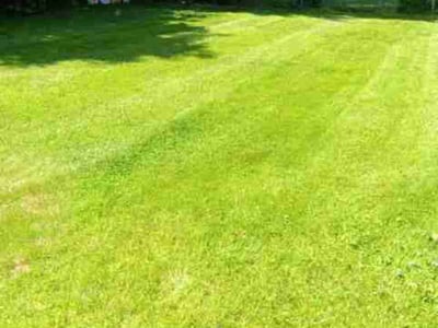 Lawn care service in Bethlehem, 18017