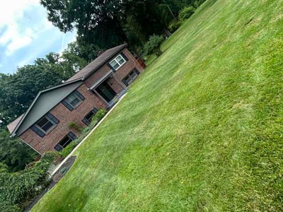 Lawn care service in Allison Park, 15101