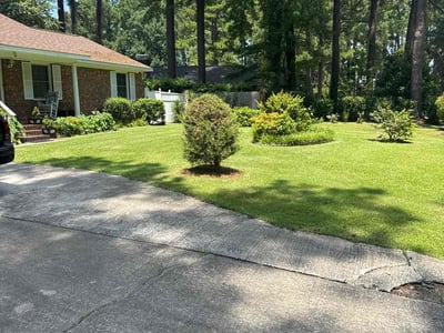 Lawn care service in Greenville, 27834