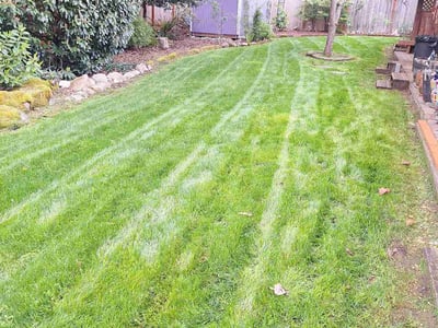 Lawn care service in Bothell, 98012