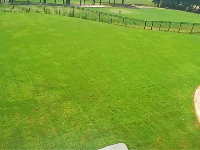 Lawn care service in Cumming, 30041