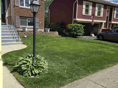 Lawn care service in Roselle, 60172