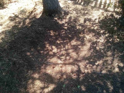 Lawn care service in , 