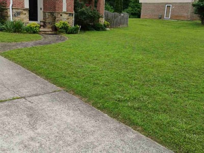 Lawn care service in Atlanta, 30311