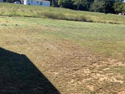Lawn care service in Longview, 75603