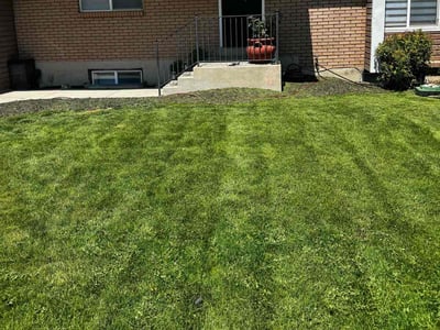 Lawn care service in West Valley City, 84120