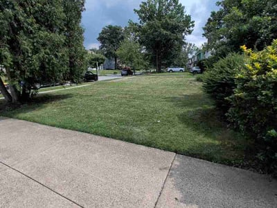 Lawn care service in Cleveland, 44120