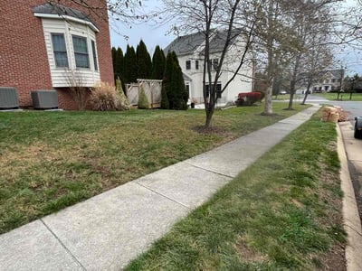 Lawn care service in , 