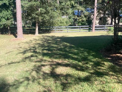 Lawn care service in Montgomery, 77316