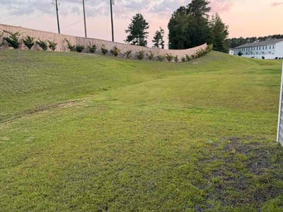 Lawn care service in Port Wentworth, 31407