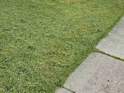 Lawn care service in Chalmette, 70043