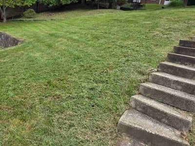 Lawn care service in Charleston, 25303