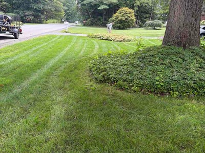 Lawn care service in Gansevoort, 12831