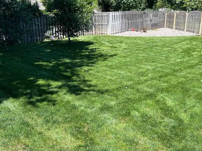 Lawn care service in Omaha, 68130