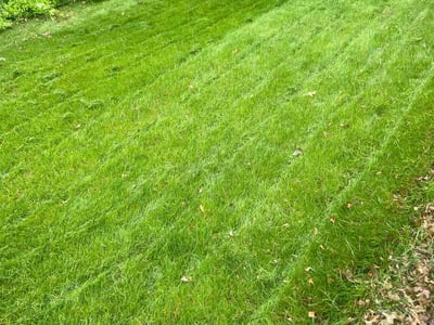 Lawn care service in Bensalem, 19020