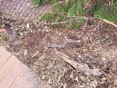 Lawn care service in Gary, 46403