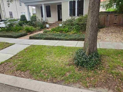 Lawn care service in New Orleans, 70443