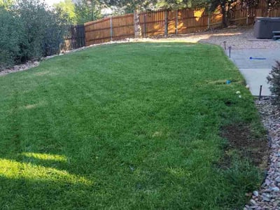 Lawn care service in Colorado Springs, 80925