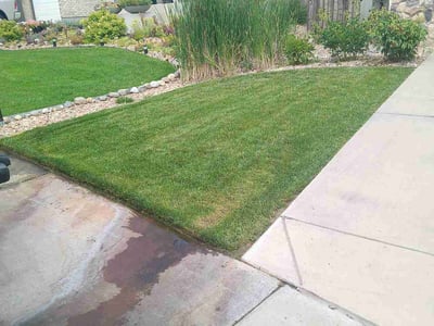 Lawn care service in Thornton, 80602