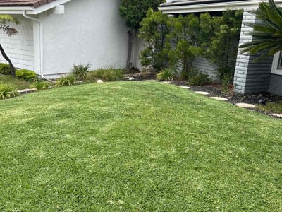 Lawn care service in San Clemente, 92672