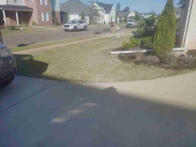 Lawn care service in Tuscaloosa, 35406