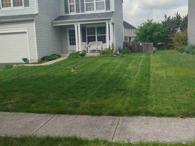 Lawn care service in Plainfield, 60586