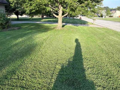 Lawn care service in Greenwood, 64034
