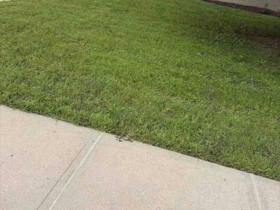 Lawn care service in Omaha, 68116