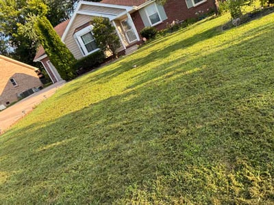 Lawn care service in Clarksville, 37042