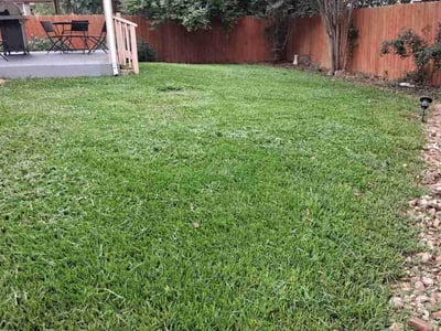 Lawn care service in Helotes, 78023