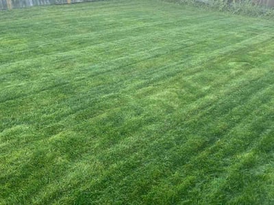 Lawn care service in Colorado Springs, 80922