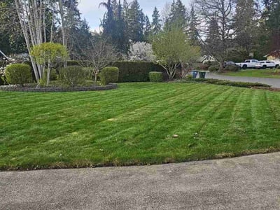 Lawn care service in Puyallup, 98373