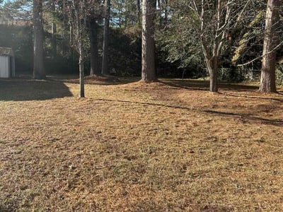 Lawn care service in Columbia, 29205