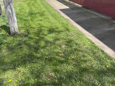 Lawn care service in Chicago, 60617