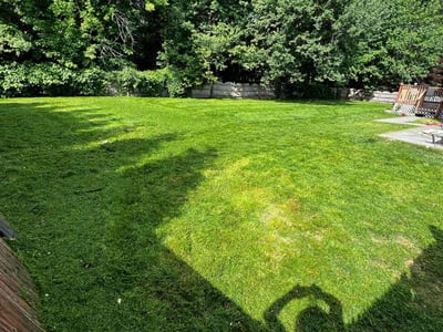 Lawn care service in Cherry Hill Township, 08003