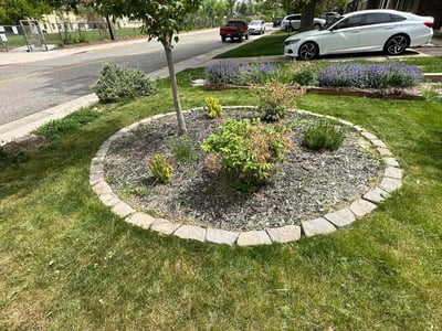 Lawn care service in Denver, 80210