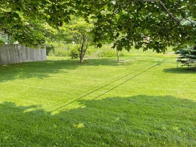 Lawn care service in Buffalo, 14221