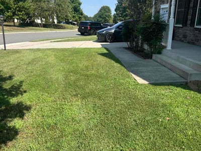 Lawn care service in Fredericksburg, 22405