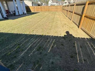 Lawn care service in Olive Branch, 38654